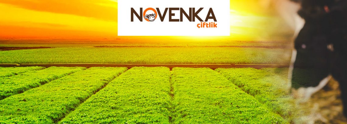 Tarım ve Hayvancılık